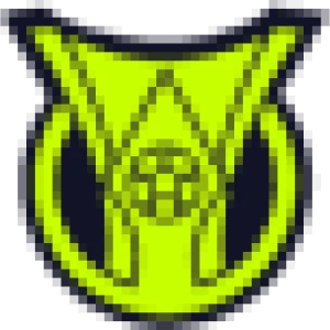 شعار البطولة