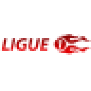 شعار البطولة