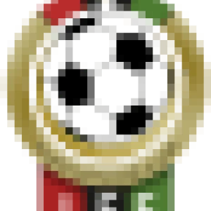 شعار البطولة