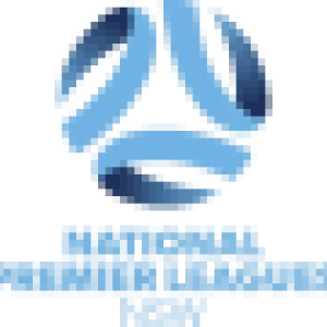 شعار البطولة