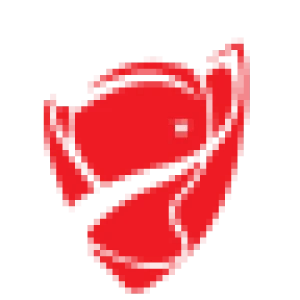 شعار البطولة